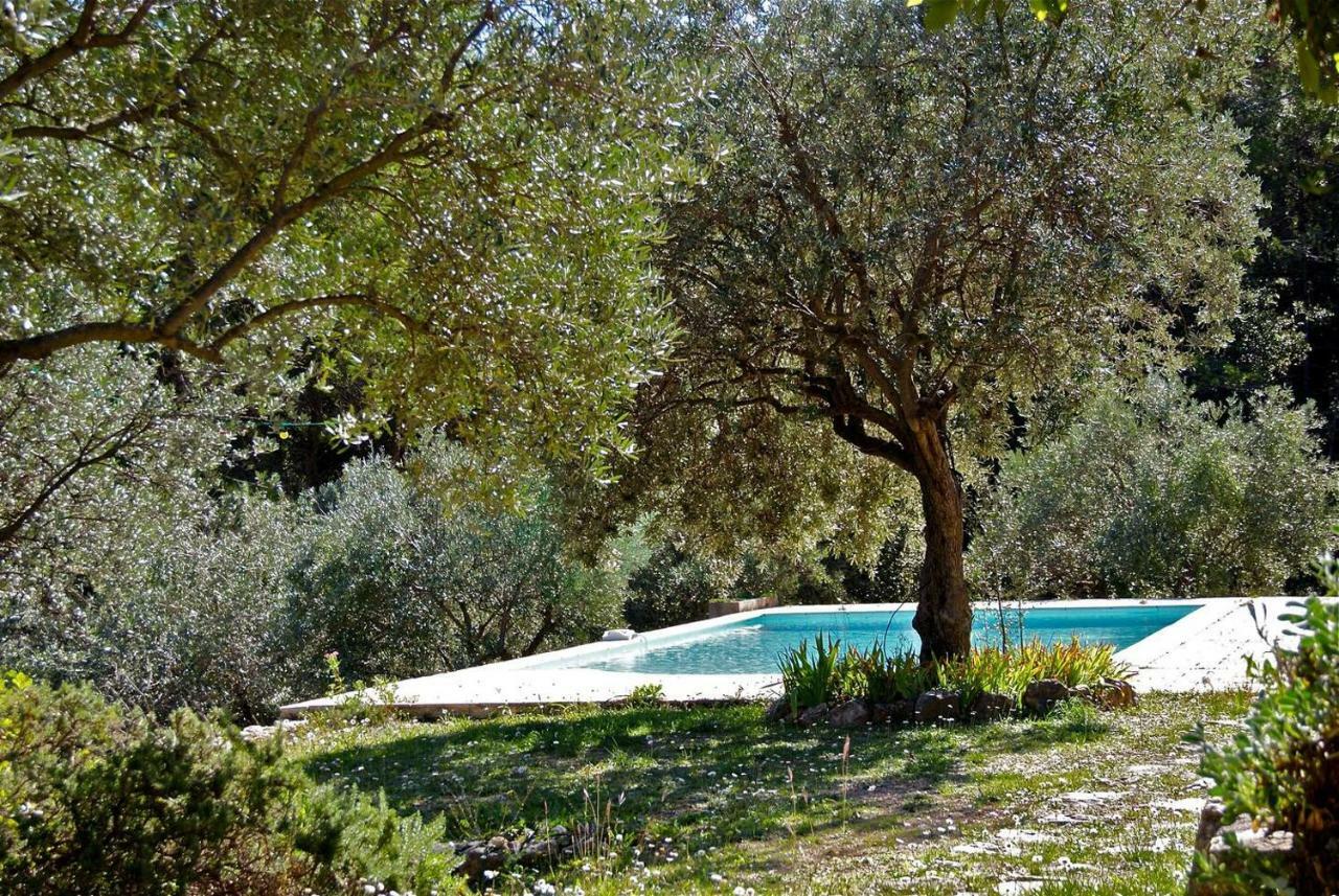 Le Rayol Βίλα Seillans Εξωτερικό φωτογραφία